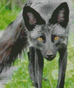 Black Fox Diamond Painting