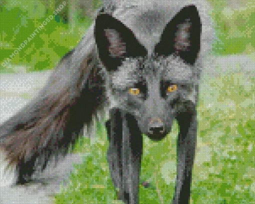 Black Fox Diamond Painting