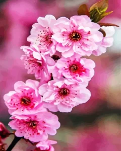 Blossom Flower Diamond Painting