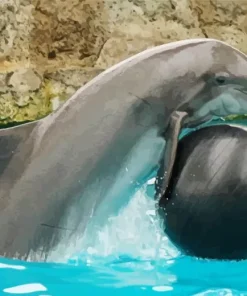 Dolphin Playing Diamond Painting