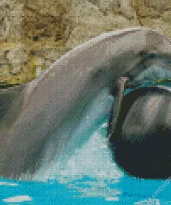 Dolphin Playing Diamond Painting