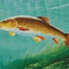 Fish Barbel Diamond Painting