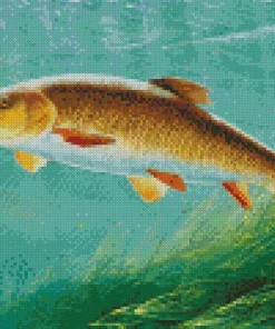 Fish Barbel Diamond Painting