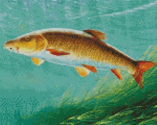 Fish Barbel Diamond Painting