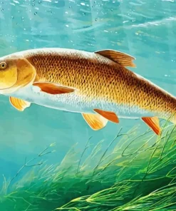 Fish Barbel Diamond Painting