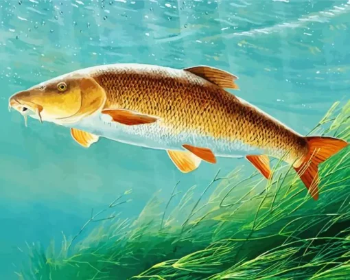 Fish Barbel Diamond Painting