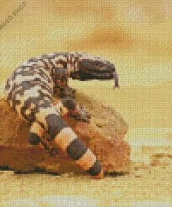 Gila Monster Diamond Painting