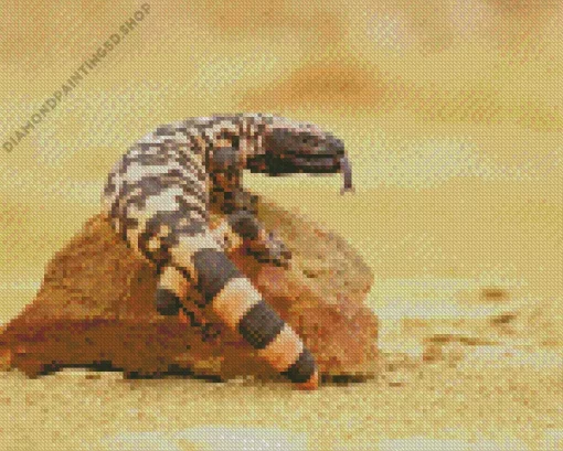 Gila Monster Diamond Painting