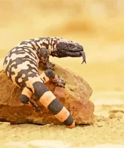 Gila Monster Diamond Painting