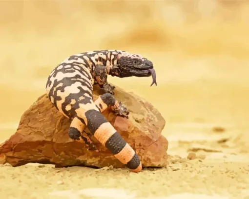 Gila Monster Diamond Painting