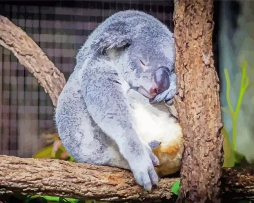 Tired Koala Diamond Painting