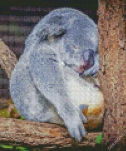 Tired Koala Diamond Painting