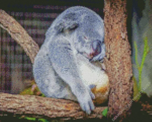 Tired Koala Diamond Painting