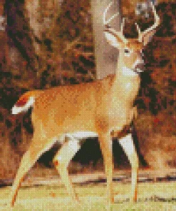 Barbary Stag Diamond Painting
