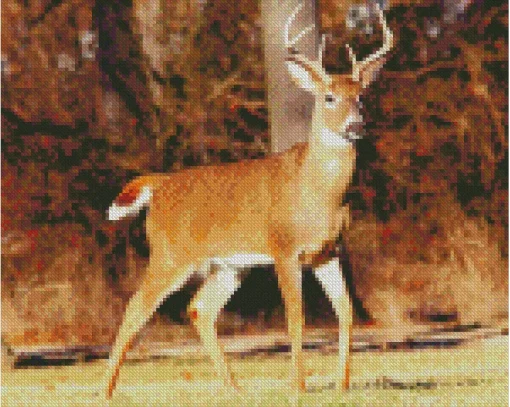 Barbary Stag Diamond Painting