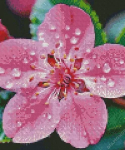 Pink Blossom Flower Diamond Painting