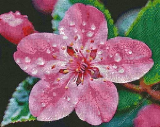 Pink Blossom Flower Diamond Painting