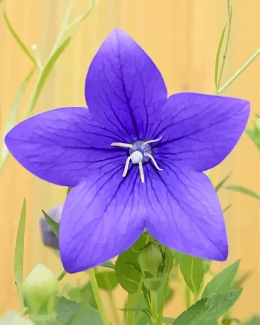 Platycodon Grandiflorus Diamond Painting