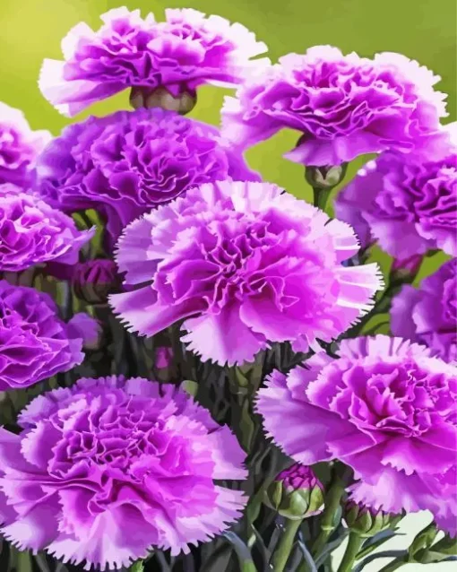 Blooming Carnation Diamond Painting