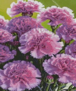 Blooming Carnation Diamond Painting