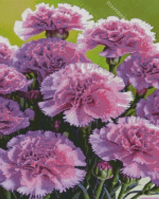 Blooming Carnation Diamond Painting