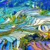 Terreces Landscape Art Diamond Painting