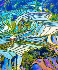 Terreces Landscape Art Diamond Painting