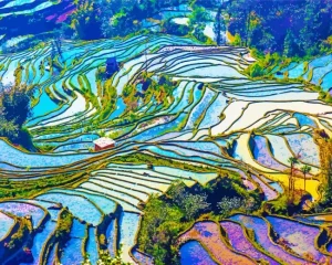 Terreces Landscape Art Diamond Painting