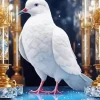 Fancy White Pigeon Diamond Painting