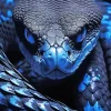 Blue Snake Diamond Painting