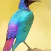 Purple Bird Diamond Painting