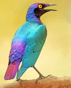 Purple Bird Diamond Painting