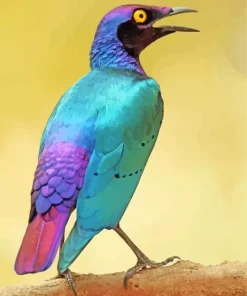 Purple Bird Diamond Painting