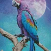 Purple Parrot Diamond Painting