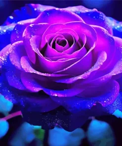 Purple Rose Diamond Painting