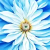 White Flower Diamond Painting