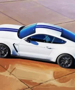 Mustang Sport Car Diamond Painting