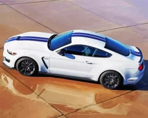 Mustang Sport Car Diamond Painting