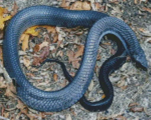 Blue Bellied Snake Diamond Painting