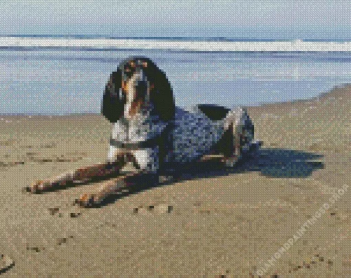 English Coonhound Diamond Painting