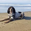 English Coonhound Diamond Painting