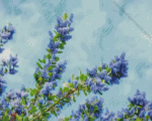 Blueblossom Plant Diamond Painting