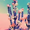 Floral Cactus Diamond Painting