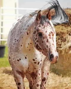 Appaloosa Leopard Diamond Painting