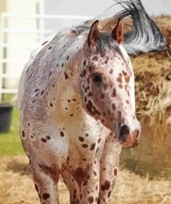 Appaloosa Leopard Diamond Painting