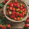 Basket Of Strawberries Diamond Painting