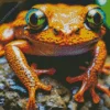 Big Orange Frog Diamond Painting