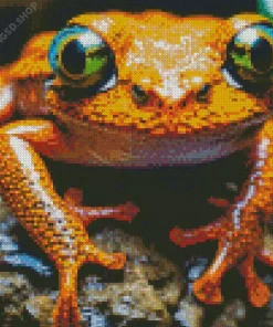 Big Orange Frog Diamond Painting
