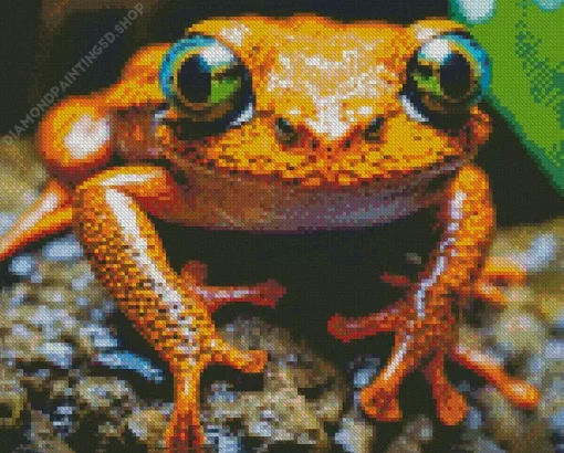 Big Orange Frog Diamond Painting