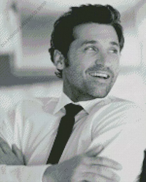 Patrick Dempsey Diamond Painting
